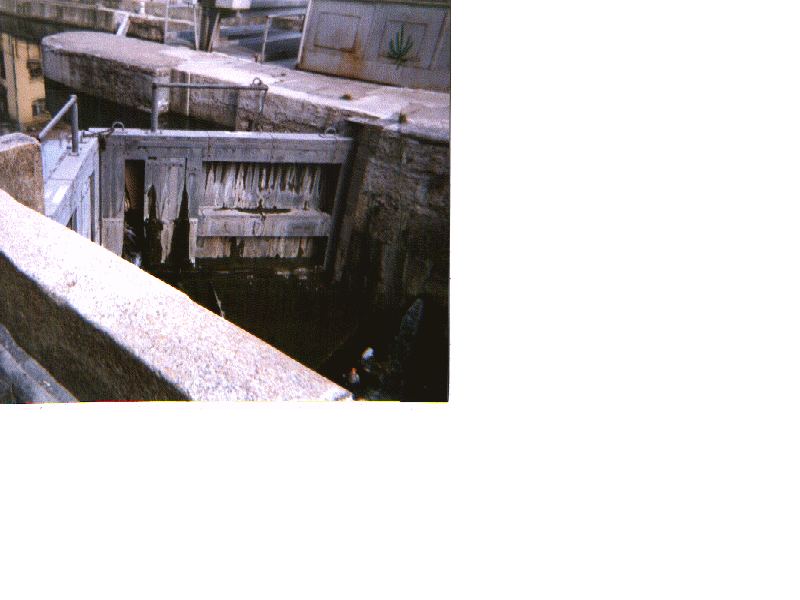milan41.gif (189010 byte)
