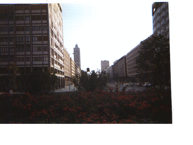 regalo.gif (236160 byte)